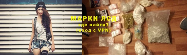 индика Абаза