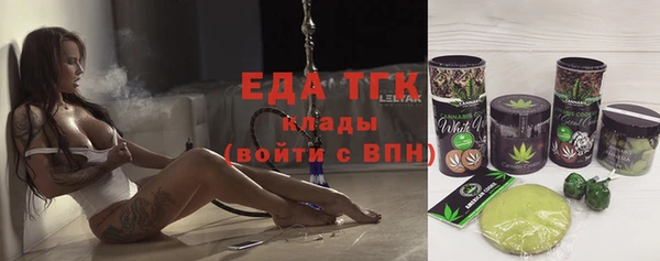 индика Абаза