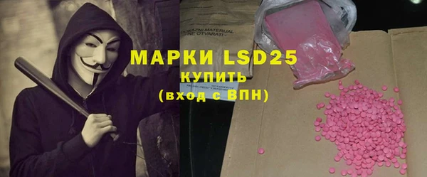 индика Абаза