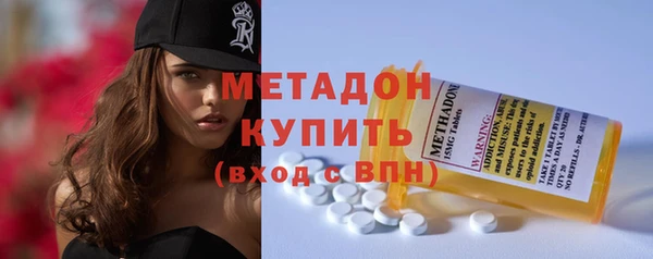 индика Абаза