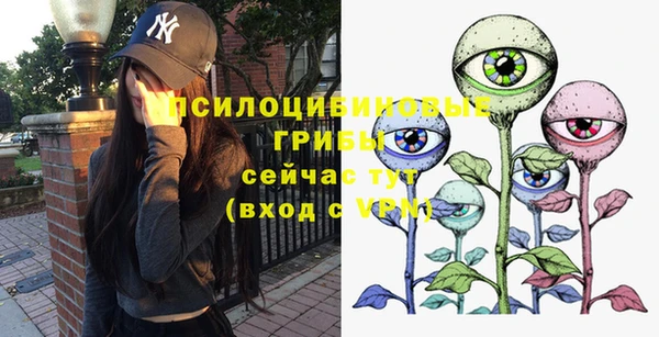 мет Медвежьегорск