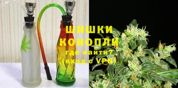 индика Абаза