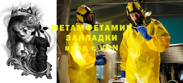 индика Абаза